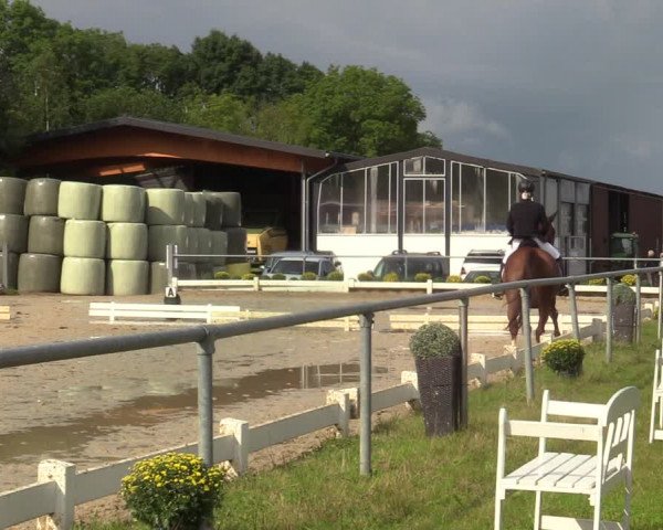 Reitturnier Bühren-Breckerfeld 2021