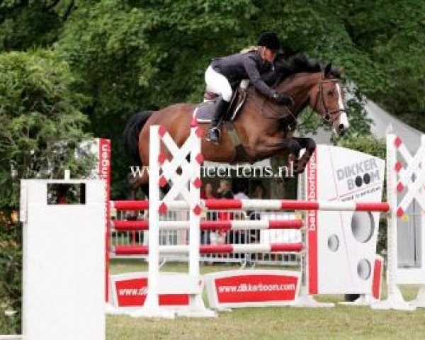 broodmare Alolina (KWPN (Royal Dutch Sporthorse), 2005, from Luidam)