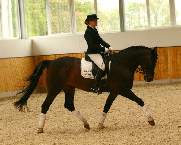 dressage horse Galina 132 (Oldenburg, 1995, from Glorieux)