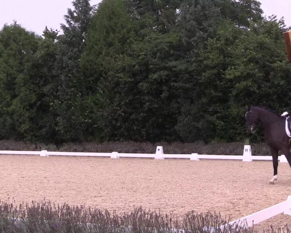 Bergische Dressurtage Lindlar - Reitanlage Dückers 2021