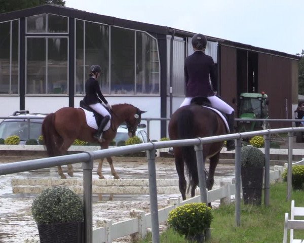 Reitturnier Bühren-Breckerfeld 2021