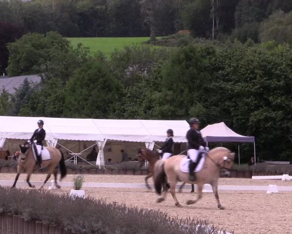 Bergische Dressurtage Lindlar - Reitanlage Dückers 2021