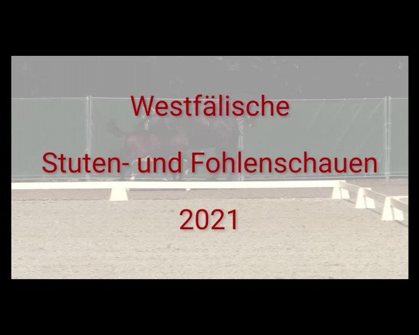 Stuten- und Fohlenschau Herbern 2021