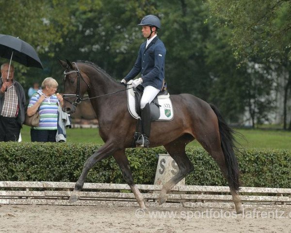 dressage horse Inclusive (Trakehner, 2011, from All Inclusive)
