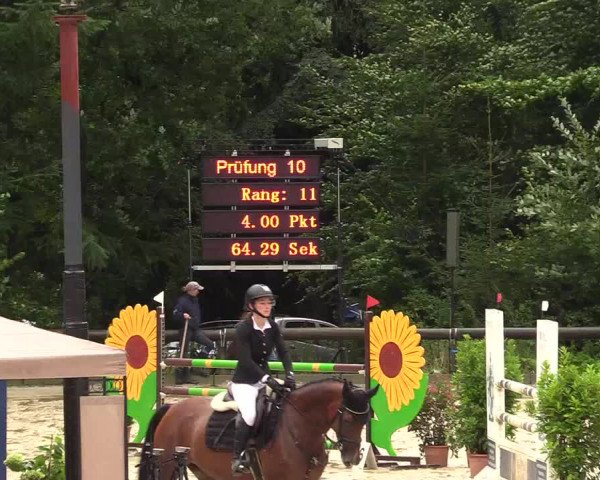 Springturnier Sieversen - Rosengarten 2021