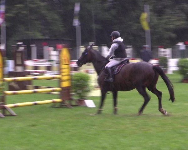 Springturnier Röhrsdorf/ Chemnitz 2021