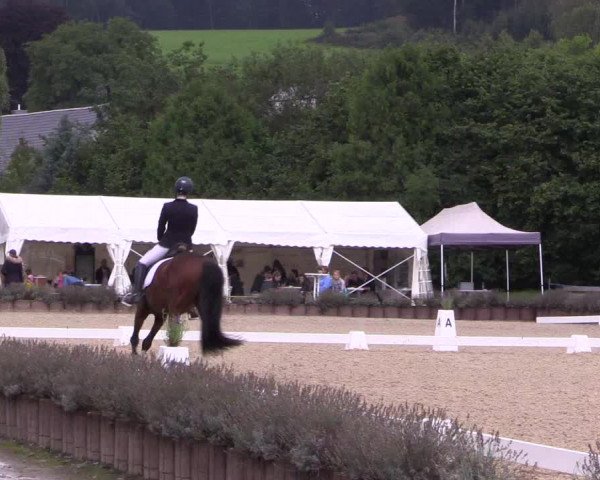Bergische Dressurtage Lindlar - Reitanlage Dückers 2021