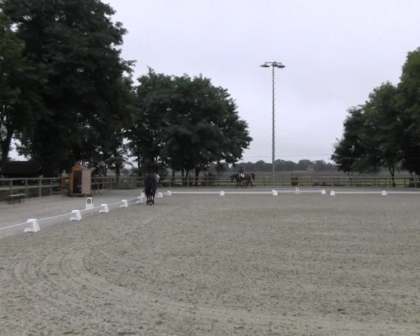 Dressurturnier Ruhlsdorf 2021