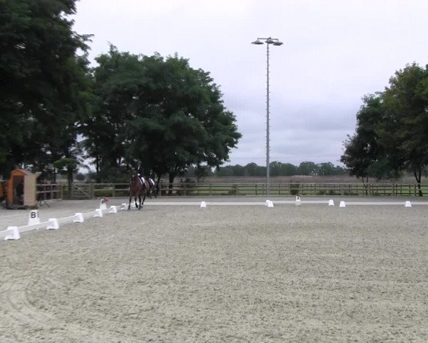 Dressurturnier Ruhlsdorf 2021