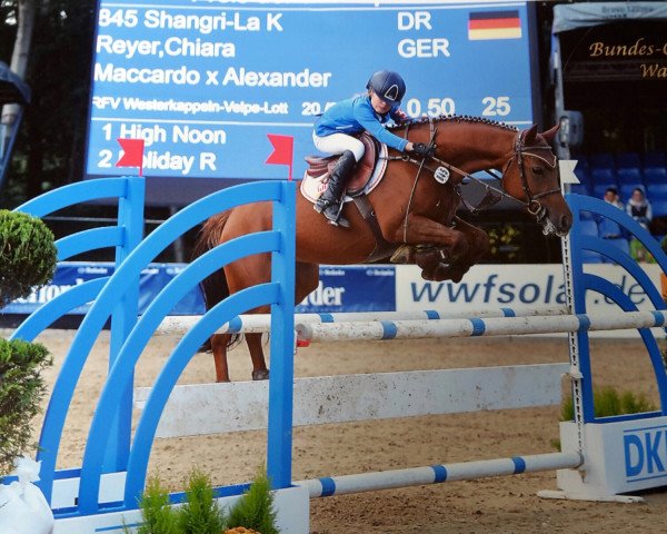 broodmare Shangri-La K (German Riding Pony, 2009, from Maccardo)