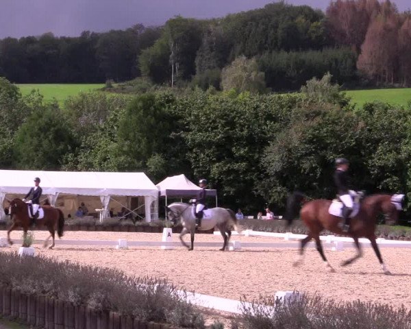 Bergische Dressurtage Lindlar - Reitanlage Dückers 2021