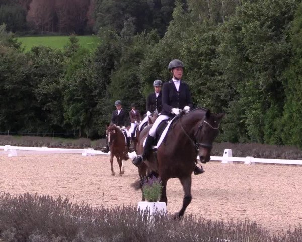 Bergische Dressurtage Lindlar - Reitanlage Dückers 2021