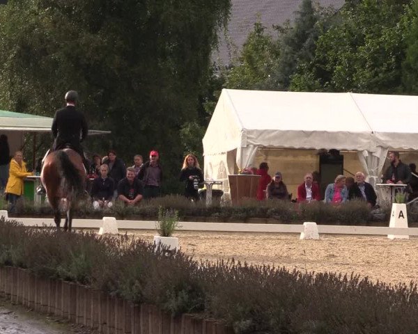 Bergische Dressurtage Lindlar - Reitanlage Dückers 2021