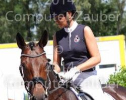 broodmare Shalimar 106 (Rhinelander, 2010, from San Amour I)