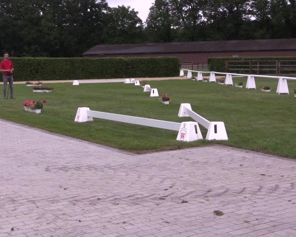 Stutenleistungsprüfung Münster-Handorf 2021