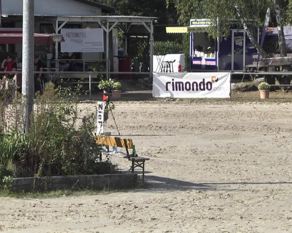 Reitturnier Neunkirchen-City 2021