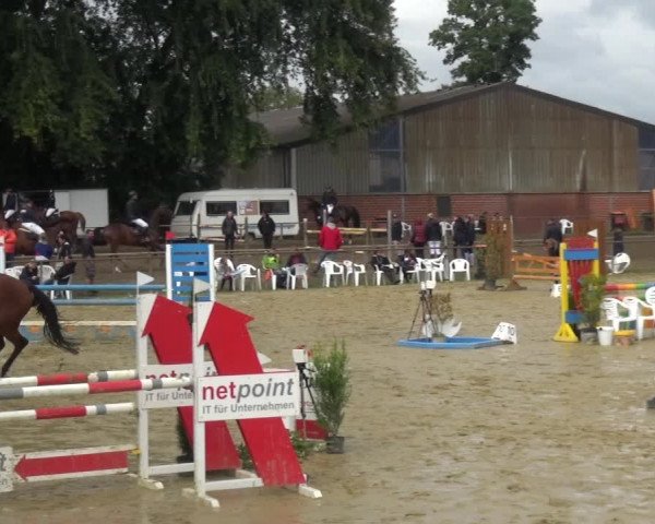 Reitturnier Willich-Anrath-Neersen 2021