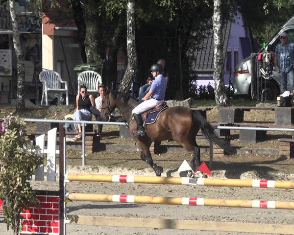 Reitturnier Neunkirchen-City 2021
