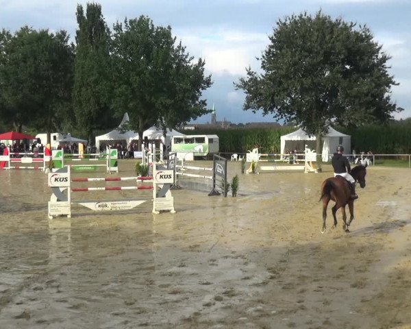 Reitturnier Willich-Anrath-Neersen 2021