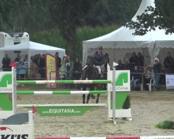Reitturnier Willich-Anrath-Neersen 2021