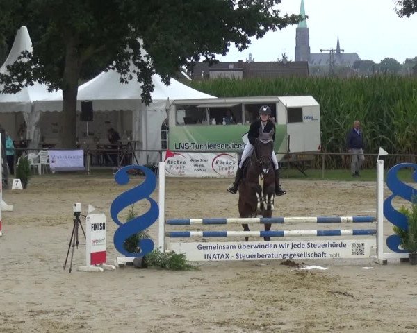 Reitturnier Willich-Anrath-Neersen 2021
