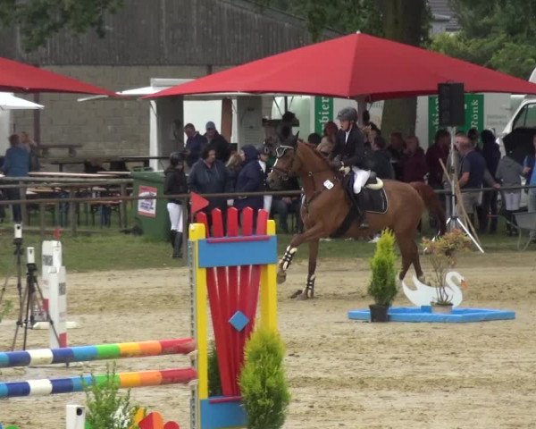 Reitturnier Willich-Anrath-Neersen 2021