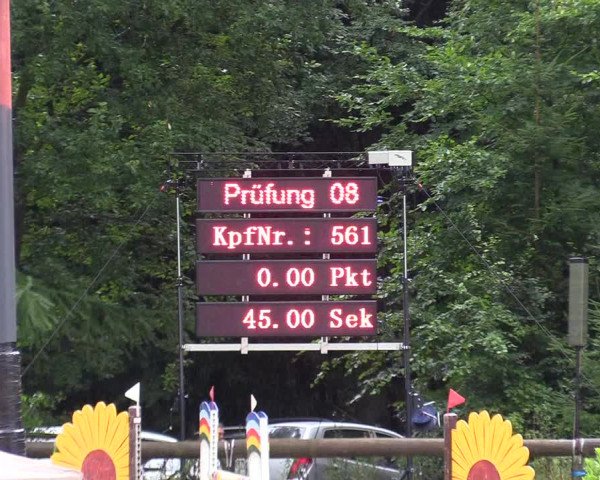 Springturnier Sieversen - Rosengarten 2021