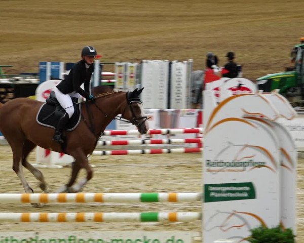 Springturnier Duderstadt 2021