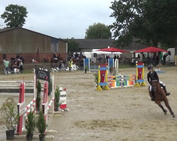 Reitturnier Willich-Anrath-Neersen 2021