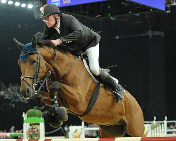 Springpferd Sam (KWPN (Niederländisches Warmblut), 1999, von Sable Rose)