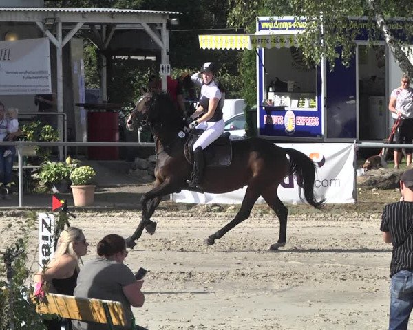 Torneo Equestre Neunkirchen-City 2021