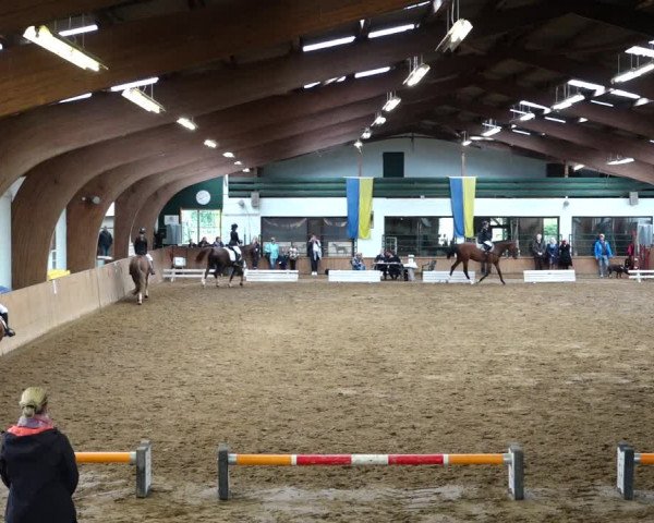 Springturnier Duderstadt 2021