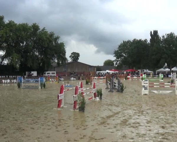Reitturnier Willich-Anrath-Neersen 2021