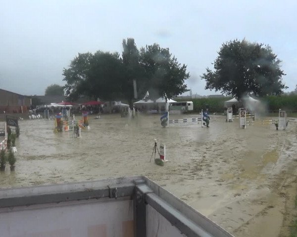 Reitturnier Willich-Anrath-Neersen 2021