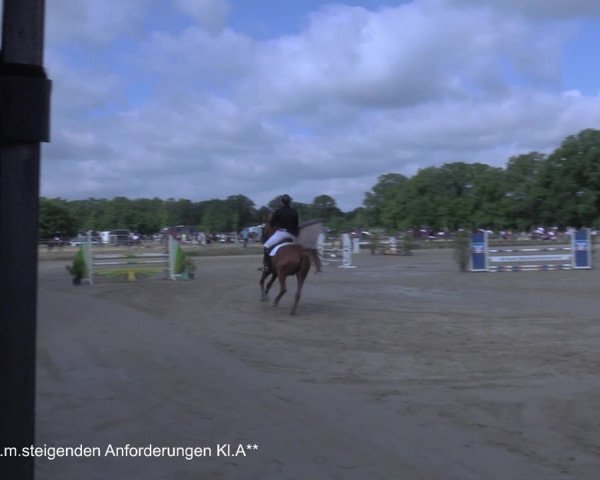 Reitturnier Coesfeld/Lette 2021