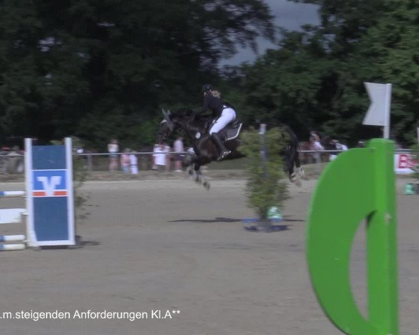 Reitturnier Coesfeld/Lette 2021