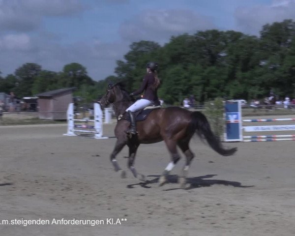 Reitturnier Coesfeld/Lette 2021