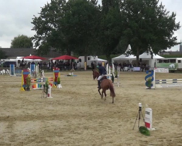 Reitturnier Willich-Anrath-Neersen 2021