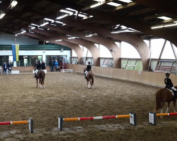 Springturnier Duderstadt 2021