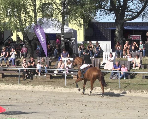 Reitturnier Neunkirchen-City 2021