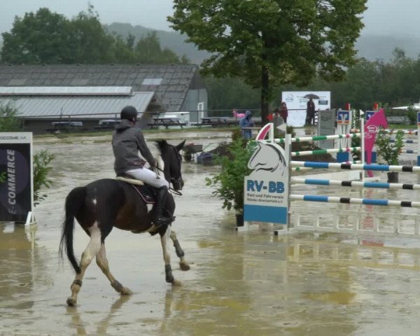 Reitturnier Bühren-Breckerfeld 2021