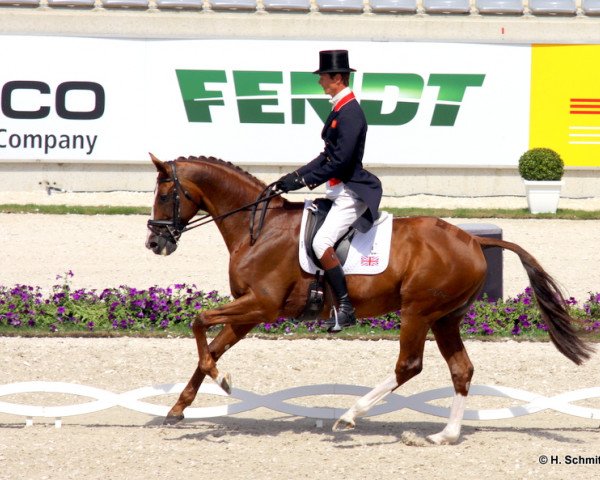 stallion Pearl Harbor 2 (Brandenburg, 2000, from Phantomic xx)