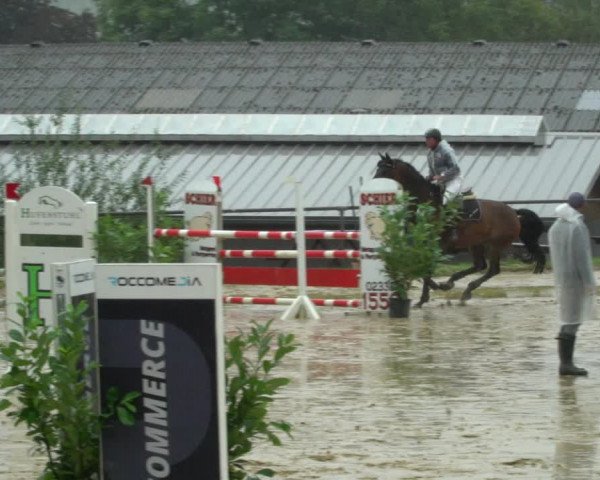 Reitturnier Bühren-Breckerfeld 2021