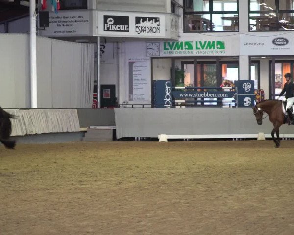 Stutenleistungsprüfung Münster-Handorf 2021
