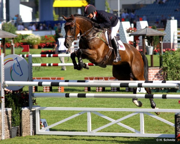 Pferd Jakata (British Sport Horse, 1998, von Abdullah xx)
