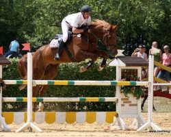 Springpferd A Lot of Luck (KWPN (Niederländisches Warmblut), 2005, von Nabab de Rêve)