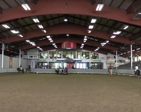 Stutenleistungsprüfung Münster-Handorf 2021