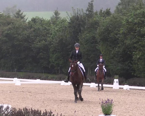 Bergische Dressurtage Lindlar - Reitanlage Dückers 2021