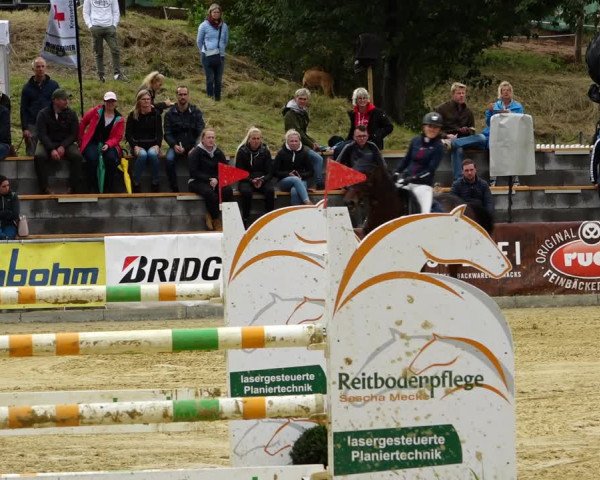 Springturnier Duderstadt 2021