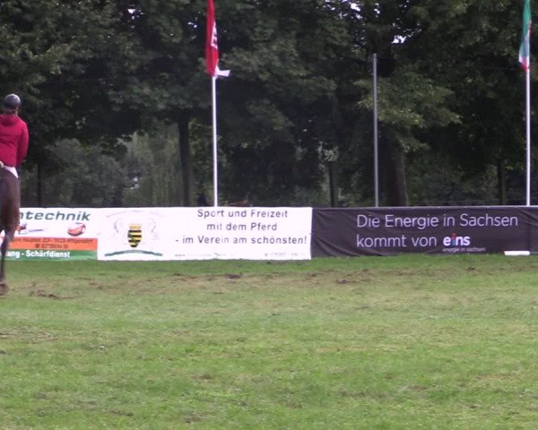 Springturnier Röhrsdorf/ Chemnitz 2021